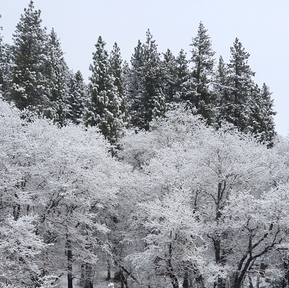 Meet your Posher, Chris - Picture 2 of 8